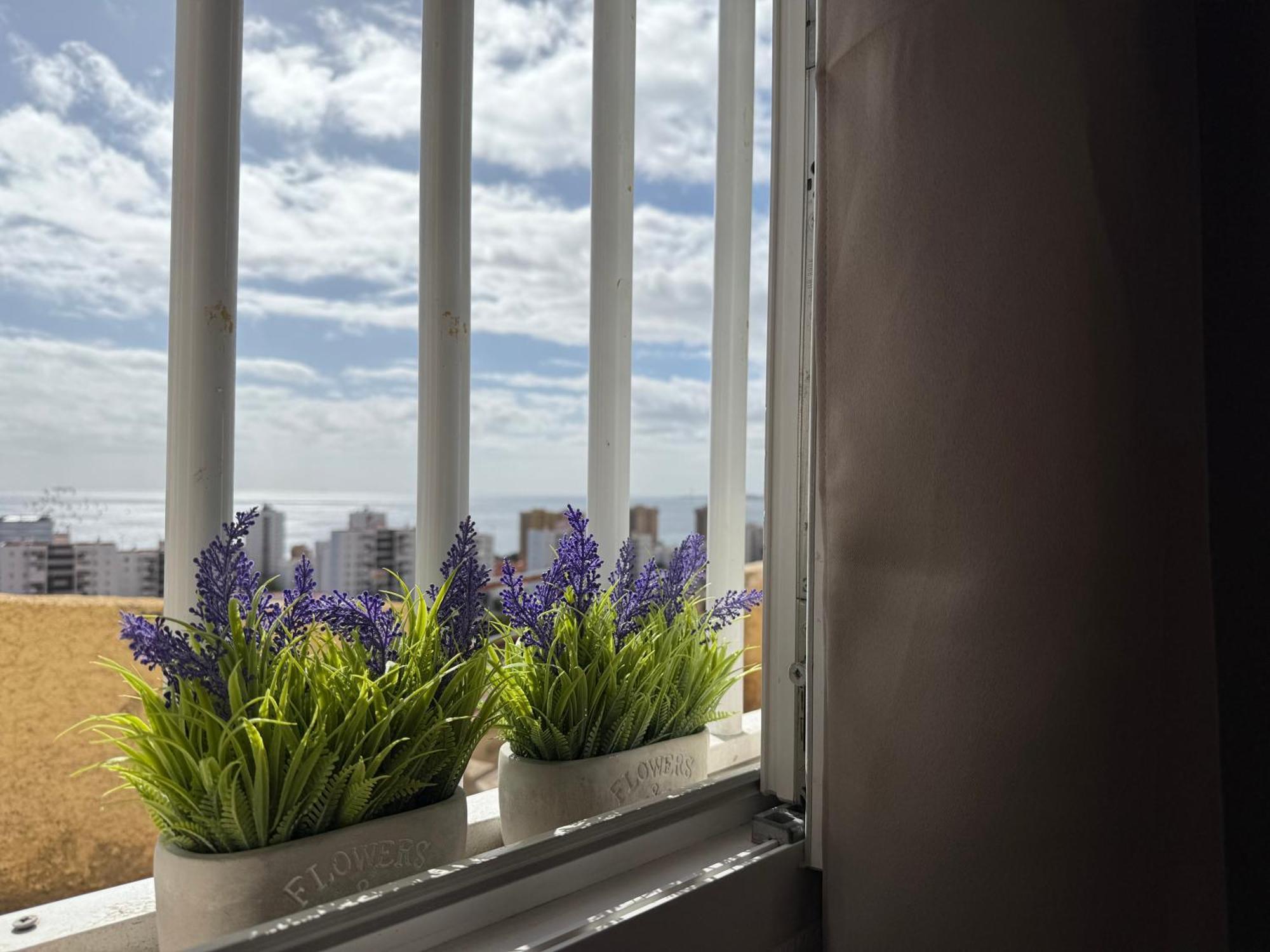 Casita Evisuit Apartamento *